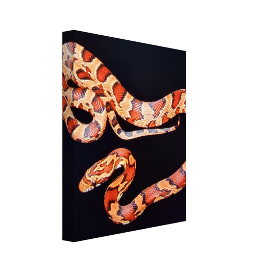 Corn Snake on Canvas - 8x10